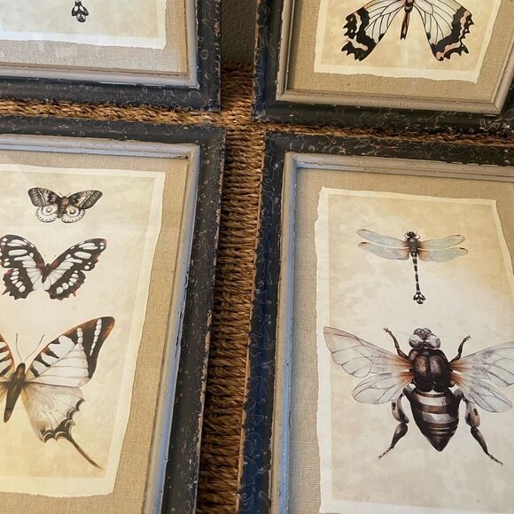 Creative Co-Op Distressed Antique Look Set of 4 Butterfly-Insect Framed Art - Picture 12 of 15